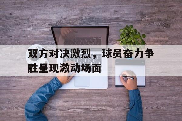 凤凰娱乐下载-双方对决激烈，球员奋力争胜呈现激动场面的简单介绍